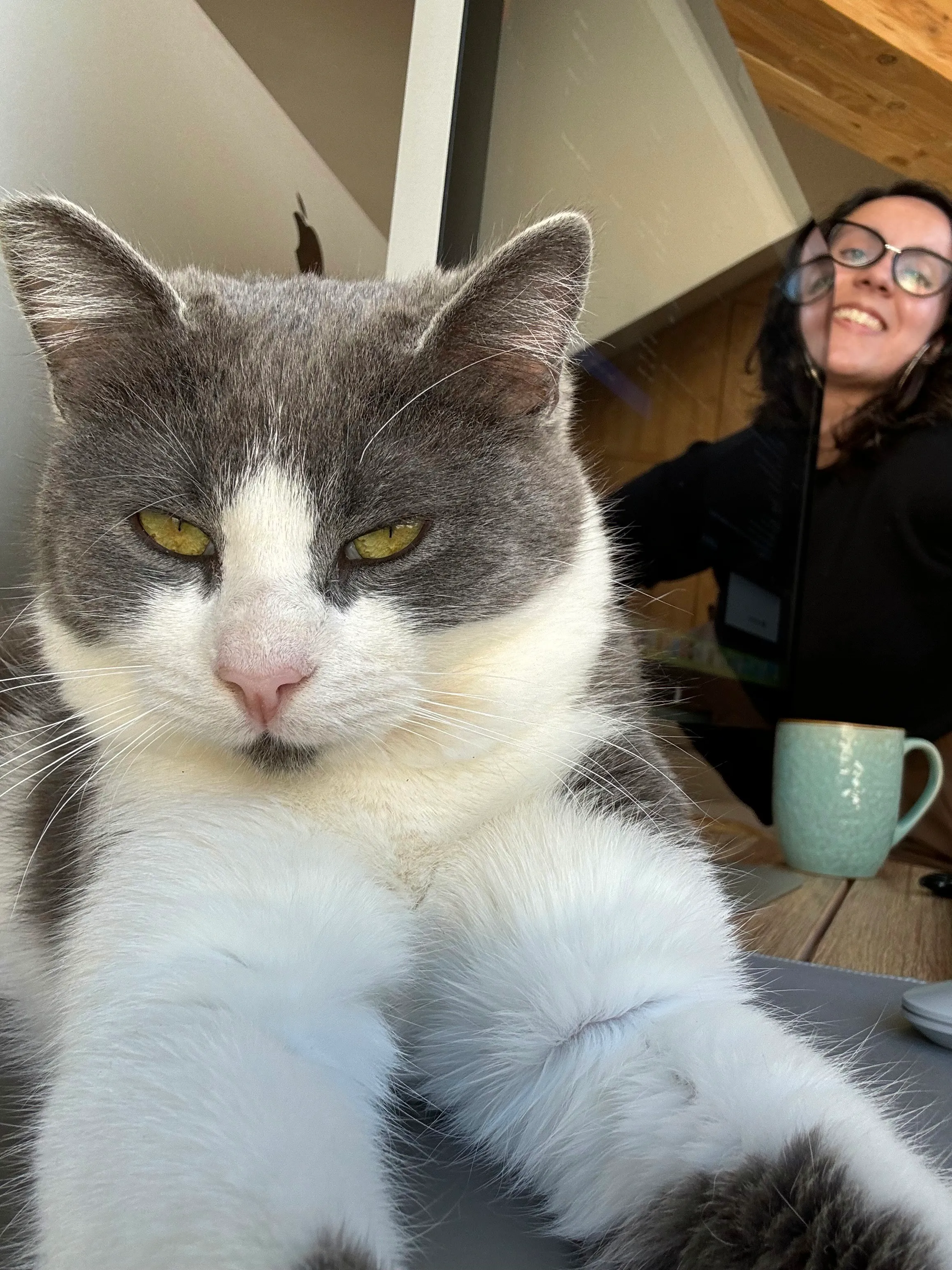 Marta smiling at her desk, with her grey and white cat sitting in front of the laptop